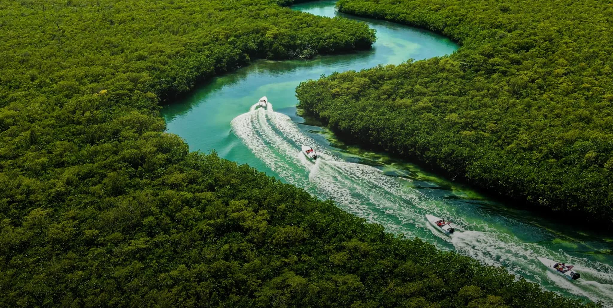 Speedboats traveling through the mangrove canals of Cancun.