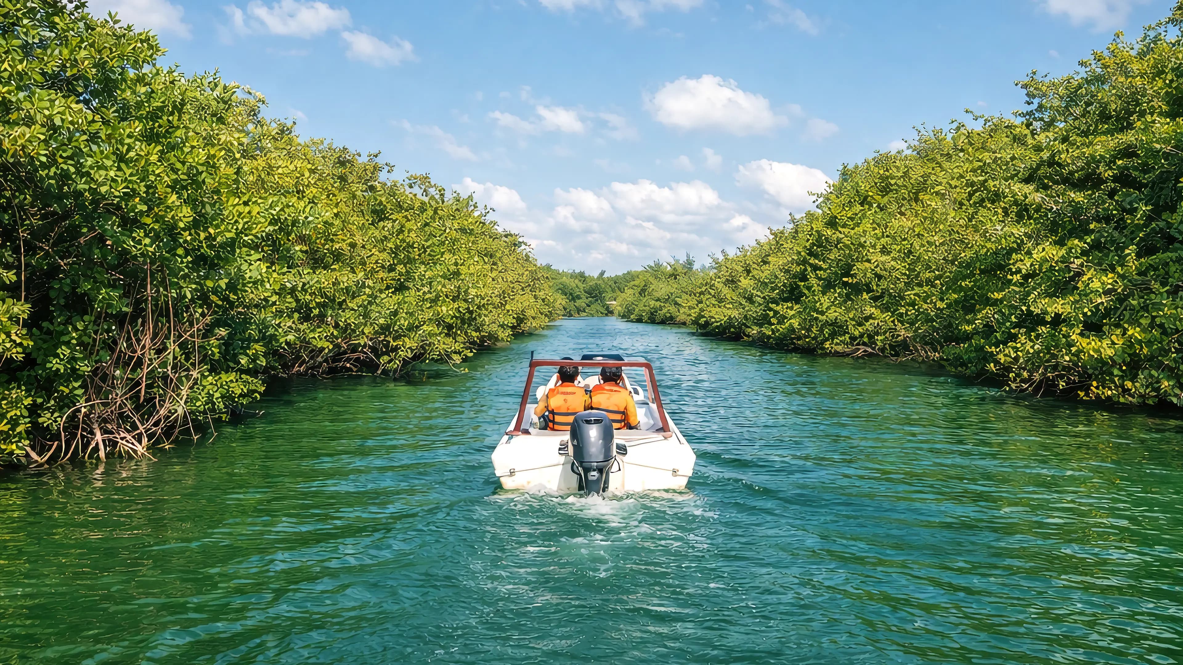 Guests navigating a speedboat through the mangroves