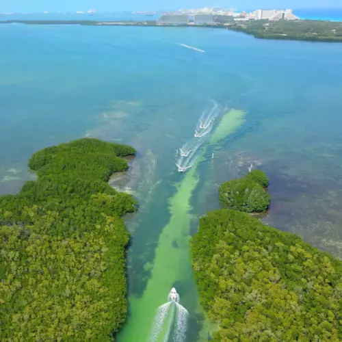 Mayan Jungle Tour en Cancun