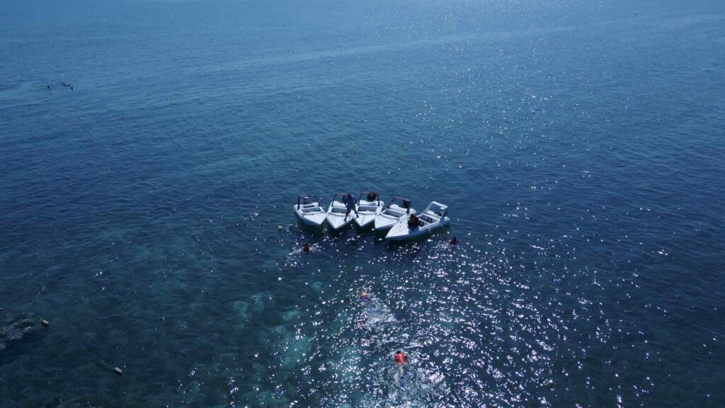 Water Activities in Cancun, Jungler Tour