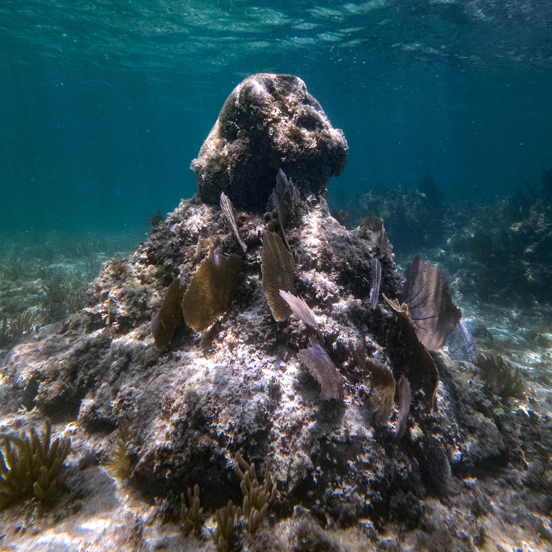 PUERTO MAYA_IMG (11)