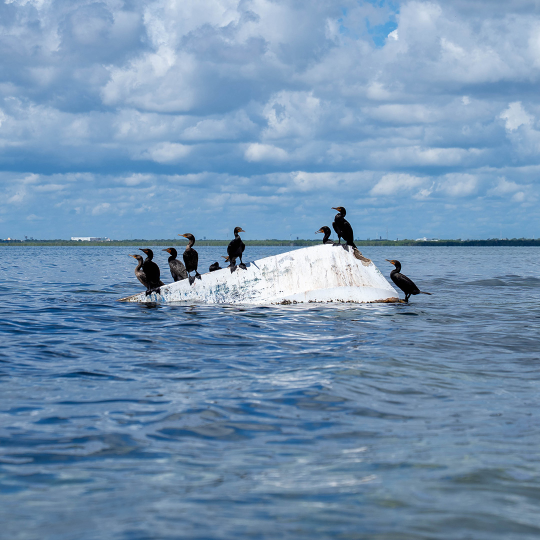 PUERTO MAYA_IMG (2)